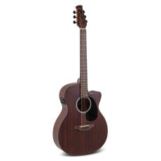 Applause AEO96-M Wood Classics  Orchestra Electro - Natural Satin