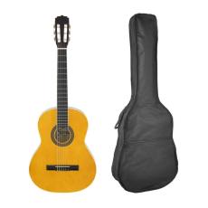 Aria FST-200 Natural with Gig Bag