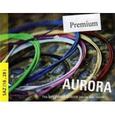 Aurora Premium Tambura Set - 018