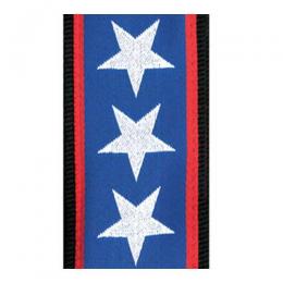 Daddario Woven Strap - Stars & Stripes