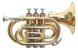 Roy Benson PT-302 Pocket Trumpet - Bb