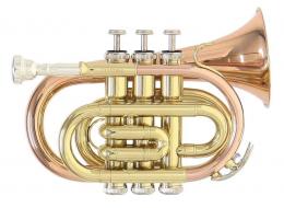 Roy Benson PT-101G Pocket Trumpet - Bb, Gold