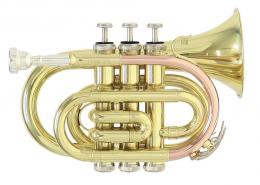 Roy Benson PT-101 Pocket Trumpet - Bb