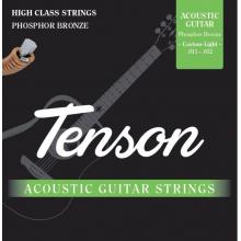 Tenson Acoustic Guitar Strings - Phorphor Bronze, Custom Light