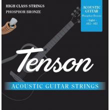 Tenson Acoustic Guitar Strings - Phorphor Bronze, Light