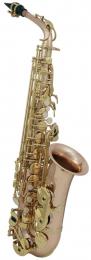 Roy Benson AS-202G Alto Saxophone - Gold