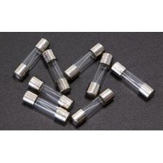 TAD Fuse GSI-style 5 x 20mm - Slow-Blow, 8.0A
